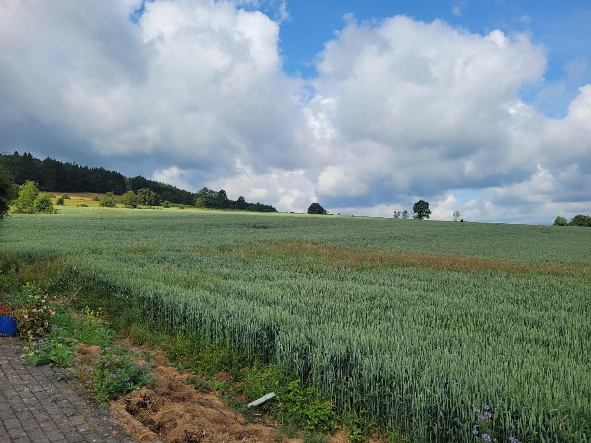 Sophisticated Holiday Home In Lierneux Near Forest 外观 照片